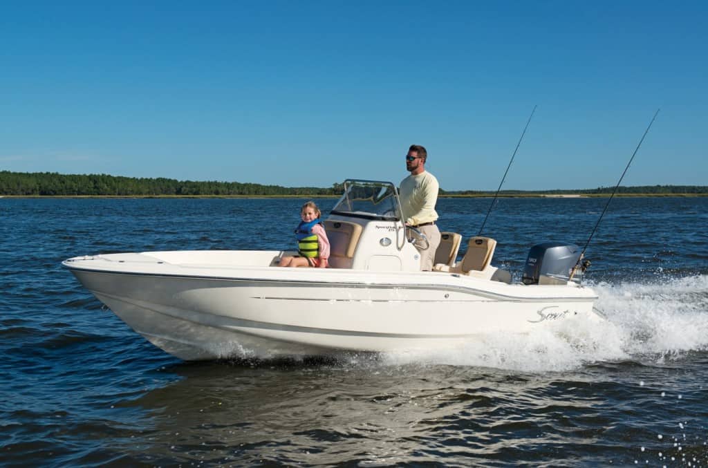 Florida Mangrove Snapper: The Guide