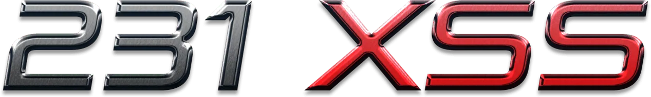 231 XSS