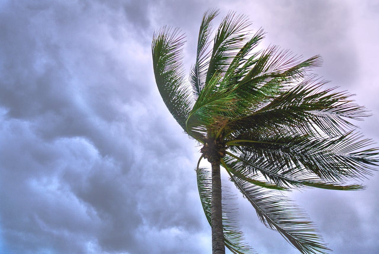 windy conditions