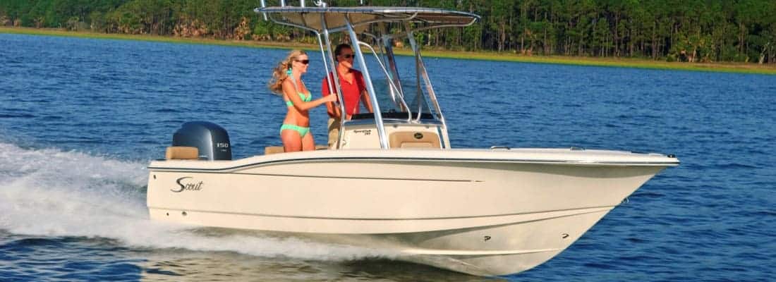 195 sportfish